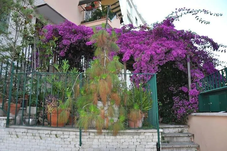 Apartment Tiny Bedsit Room Rome Italy